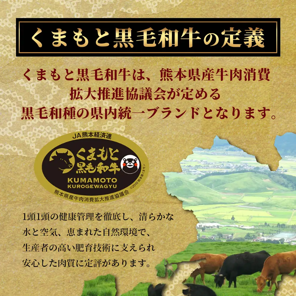 【ふるなびWEEK対象】【訳あり】くまもと黒毛和牛 切り落とし 800g ( 400g ×2 ) 本場 熊本県 黒毛 和牛 ブランド 牛 肉 上質 くまもと 訳アリ 113-0502-FN