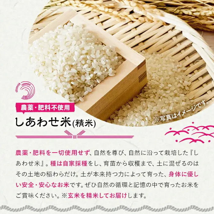 ＜先行予約受付中！2026年11月上旬以降順次発送予定＞＜令和8年産＞しあわせ米 精米 真空パック(計1.8kg・900g×2袋) お米 白米 常温 常温保存 小分け【101000800】【宇佐本百姓】