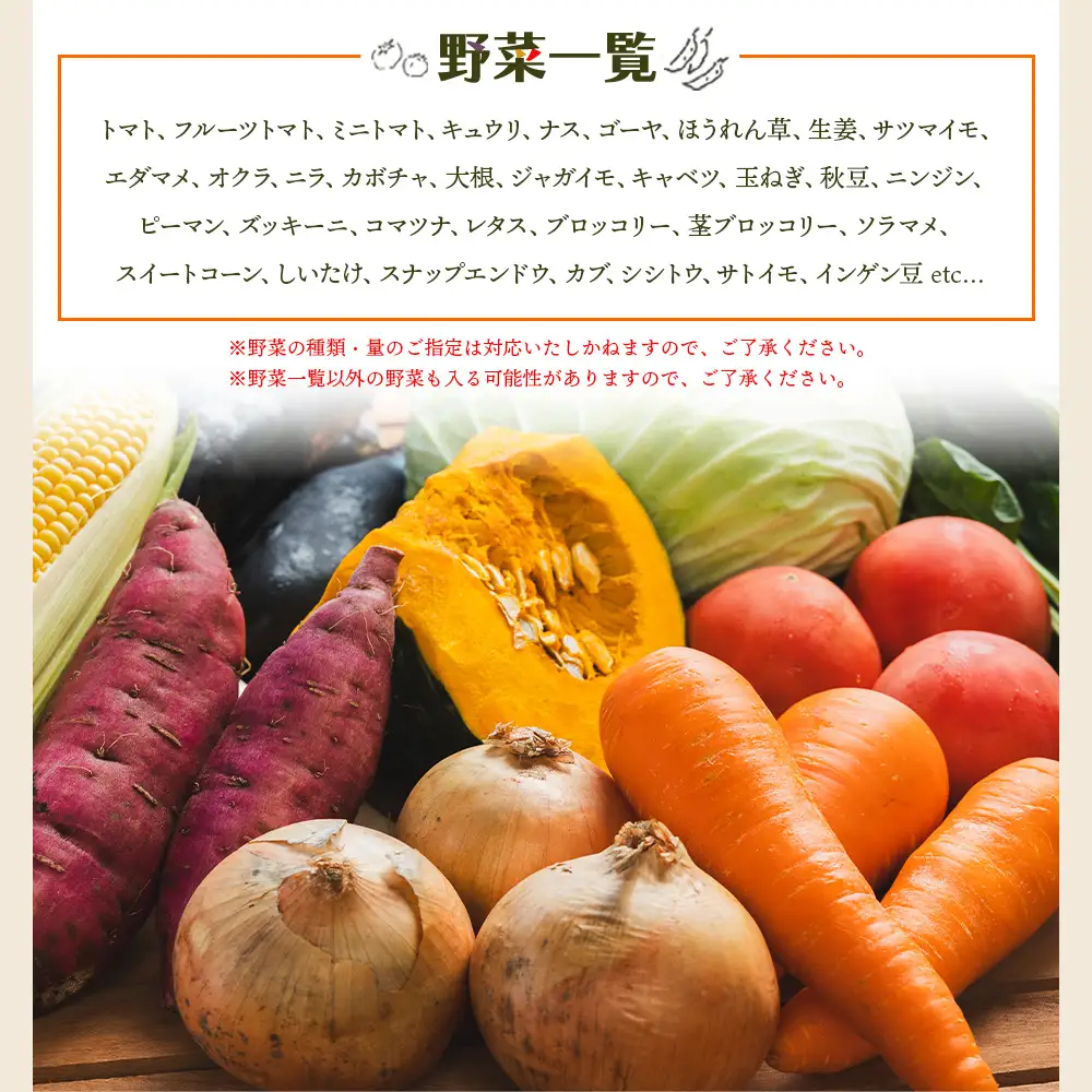 【定期便】野菜5種前後 | 野菜 定期便 野菜 定期便 野菜 定期便  Wyr-0029