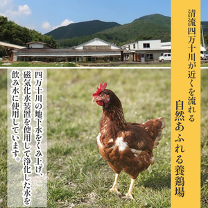 卵が苦手な子どもも食べられた！生臭くないおいしい卵 （10個入×6P） たまご 卵 玉子 鶏卵 生卵 生たまご ／Gbn-A59