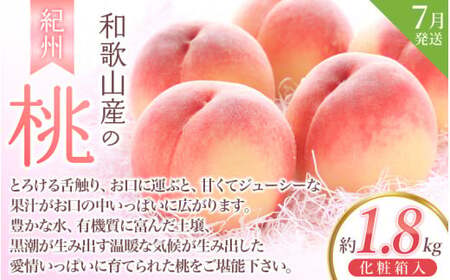 定期便【全3回/2～3・7・9月】＼フルーツ大国和歌山からお届け／ 旬のフルーツ 定期便（いちご・桃・ピオーネ）/ 定期便 フルーツ定期便 くだもの定期便 果物定期便 和歌山 果物 フルーツ【tkb401】