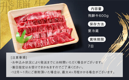 【形不揃い訳あり】A5等級飛騨牛 焼肉 切り落とし600g（冷蔵配送）| 焼肉 HF040VC13
