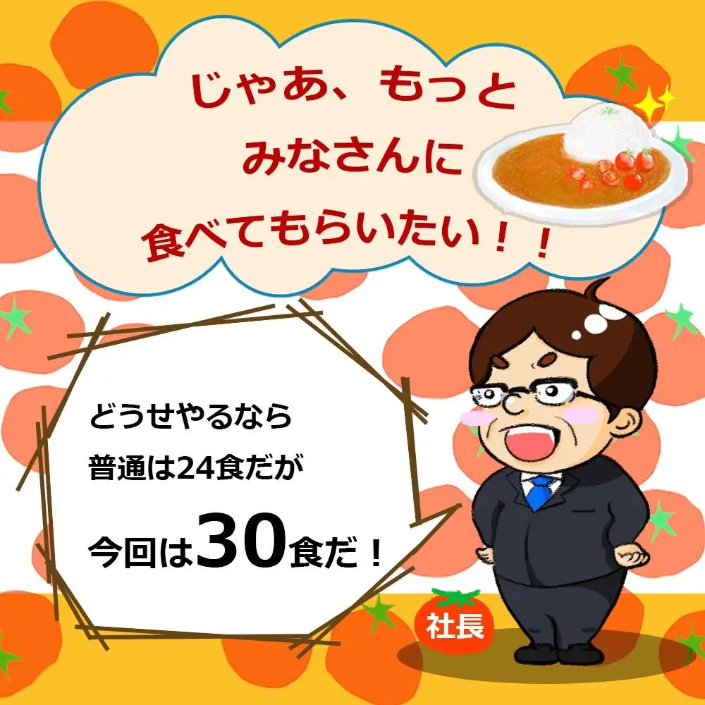 訳あり とまとたっぷりカレー（160ｇ×30袋）| 野菜の旨味 簡易包装 トマト カレー 人気 野菜たっぷり 子供 おいしい ふるさと清見21 DC023