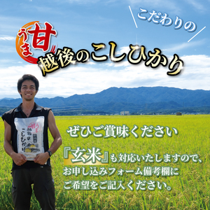 コシヒカリ 定期便 7kg 6ヵ月 42kg 甘うま越後のこしひかり コシヒカリ定期便 米定期便 玄米定期便 精米定期便 コシヒカリ toushin01001