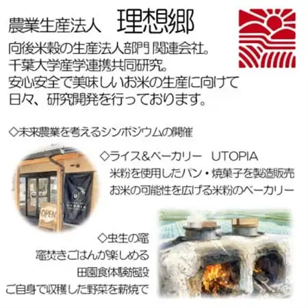 【令和8年産・新米】 理想郷ミルキークイーン　米5kg精米済　千葉県産米(白米)金賞_新米 先行受付 精米 金賞_【1090065】