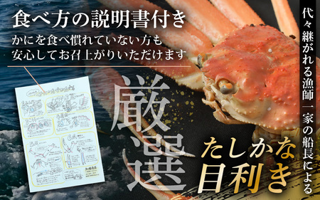 【先行予約】 越前がに 約800g～900g × 1杯【冷凍】【2026年11月下旬以降順次発送予定】急速冷凍 新鮮 越前がに [m36-h004]