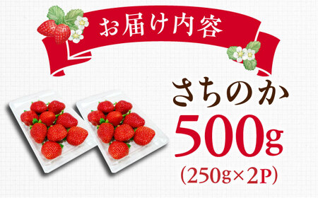 【2027年1月以降順次発送】さちのか 500g（250g×2パック） / 佐賀県 / リフルット株式会社 [41ABAA007]
