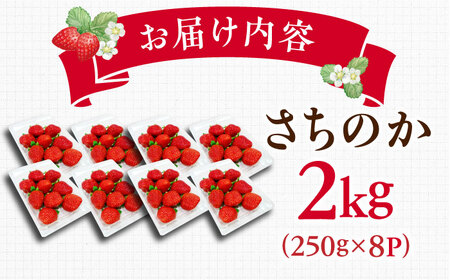 【2027年1月以降順次発送】さちのか 2kg（250g×8パック） / 佐賀県 / リフルット株式会社 [41ABAA009]