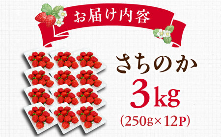 【2027年1月以降順次発送】さちのか 3kg（250g×12パック） / 佐賀県 / リフルット株式会社 [41ABAA010]