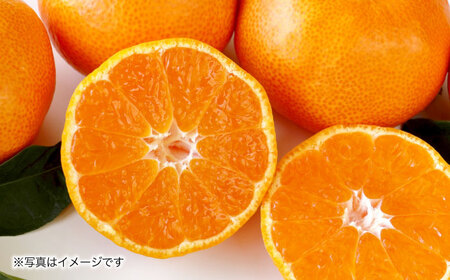 【2026年11月上旬より順次発送】みかん 5kg　/ みかん 果実 柑橘 / 大村市 / おおむら夢ファームシュシュ [ACAA377]