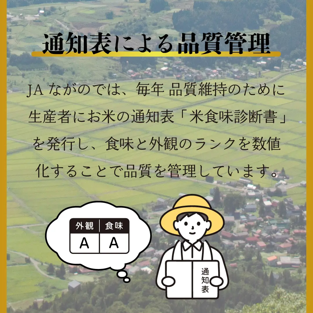 コシヒカリ 10kg  令和7年産 【幻の米】コシヒカリ 長野県 飯山市（7-74A）