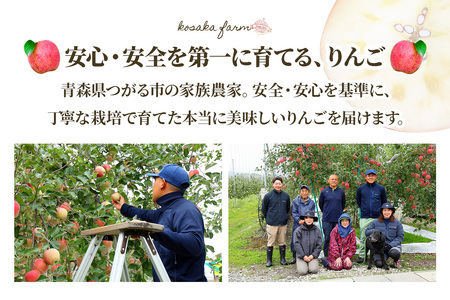 完熟！りんご 葉とらずサンふじ 5kg [1087] | 青森 つがる