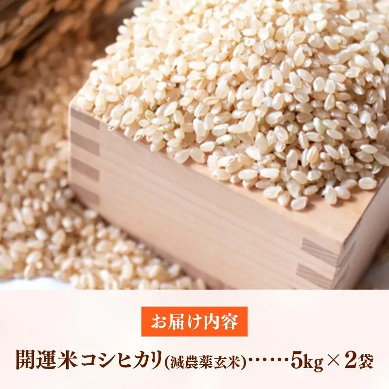 令和7年産 開運米 コシヒカリ 【玄米】（減農薬）幸手産 - 5kg×2袋 10kg こしひかり 福祉 応援 安心 安全 埼玉県 幸手市 幸手市産