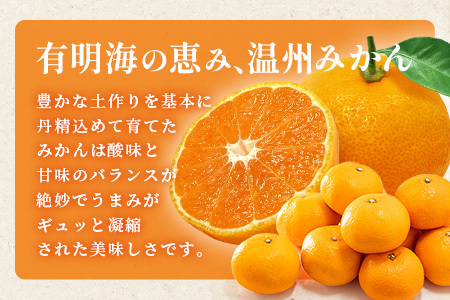 佐賀県産 温州みかん（2L～3L混載）大玉みかん サイズ指定不可【2026年11月下旬～1月上旬頃発送予定】｜果物 フルーツ 温州みかん 大玉 柑橘 国産 九州産 人気 甘い 佐賀産 鹿島産 B-802