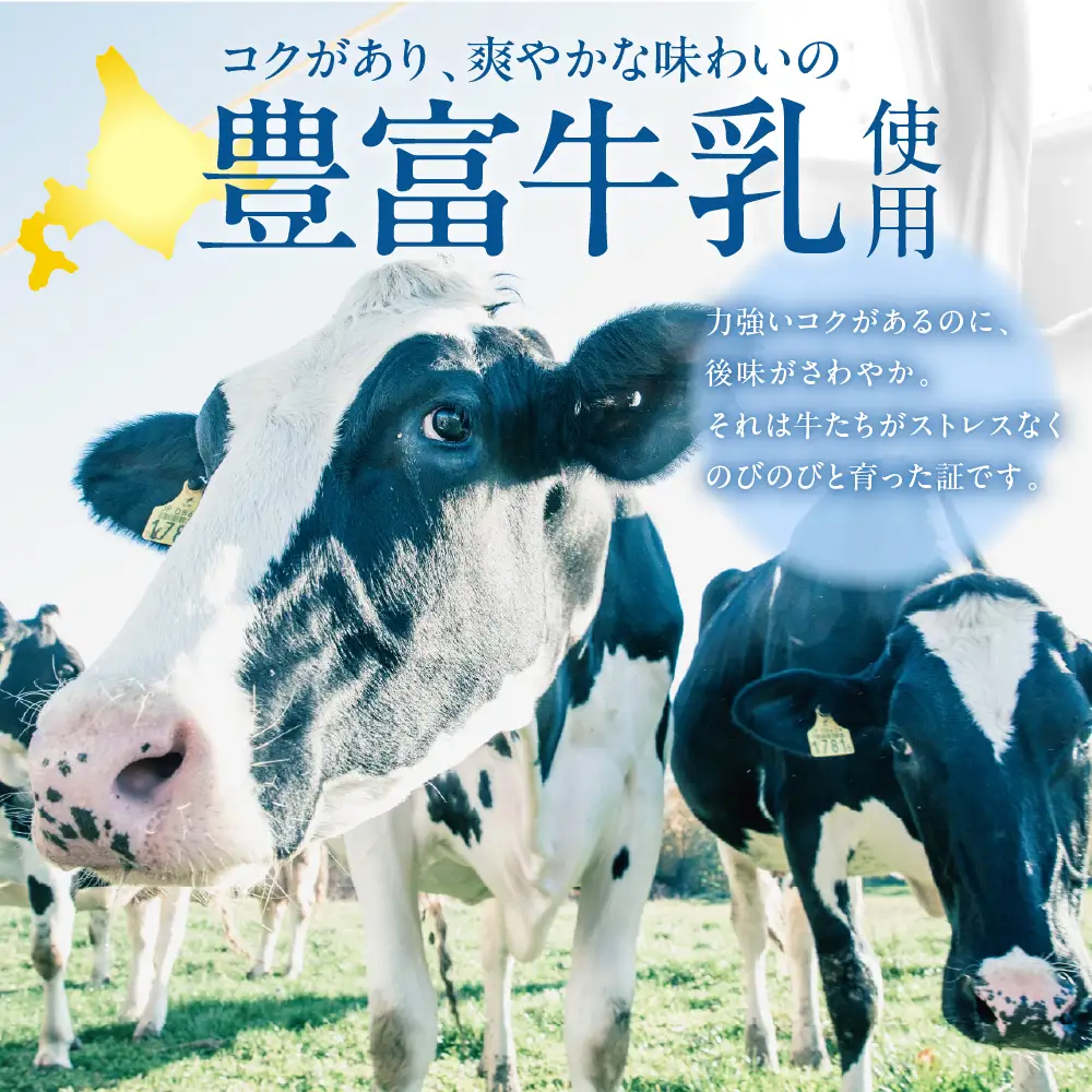 とよとみバタージェラート【塩ミルク6個セット】 ジェラート