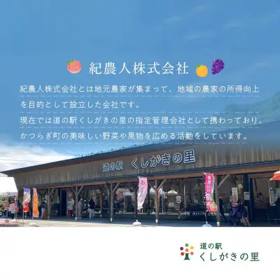 【2027年発送分先行予約】 旬の梨 極上 秀品（中玉～大玉）6～8個入り 【2027年8月中旬～9月下旬頃発送予定】【KG23】【BK023-kgr015A】