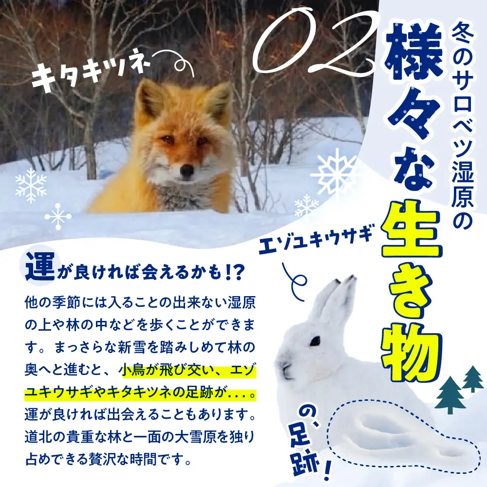 サロベツ湿原体験！スノーシューガイド 1名様 【1～3月】