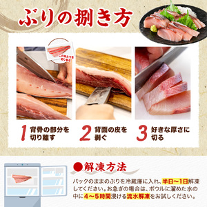 えりも【マルデン特製】(ワンフローズン)北海道日高産ぶり半身1.2kg～1.4kg【er002-077-b】