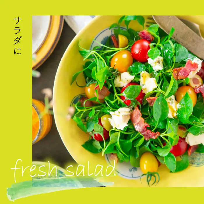 【産地直送】朝摘み新鮮！道志村産クレソン 5束（350～400g） DSAA001 【期間限定】