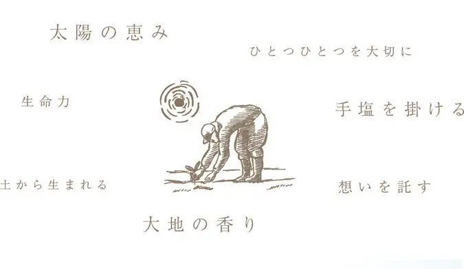 【リニューアル】 国産はとむぎ炊飯器用（お徳タイプ）それいゆ株式会社 はとむぎ 健康食品 11-106