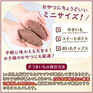 さつまいも 紅はるか 5kg サツマイモ ミニサイズ 有機 【そのやま農園】_y329-D