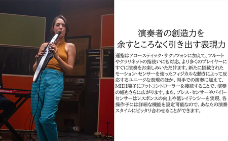 電子管楽器 Aerophone Pro AE 30 電子管楽器