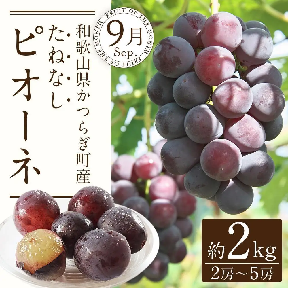 定期便全3回 【7月・8月・9月発送】 和歌山の夏のフルーツをお届け（桃・梨・たねなしピオーネ）【TM179】