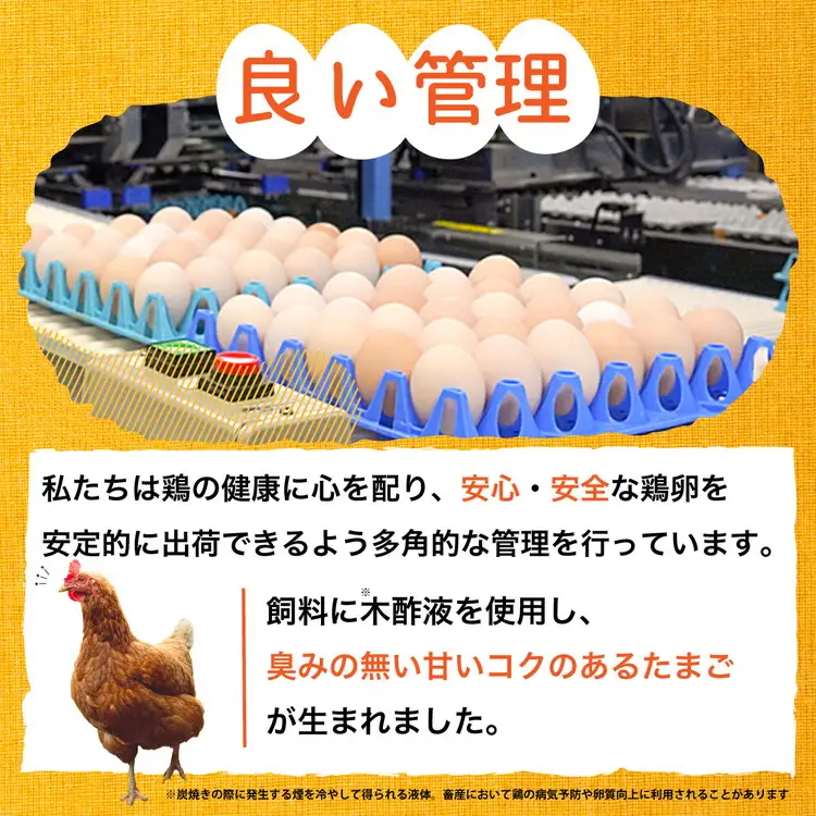 【TVで紹介】卵 霧の卵 30個【北海道・沖縄・離島配送不可】