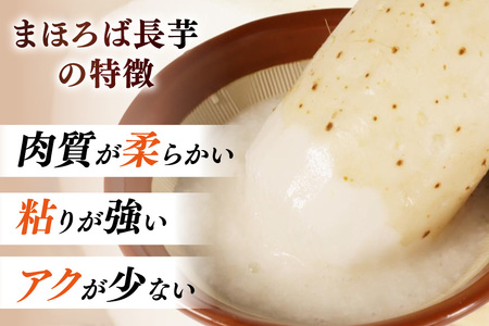 長芋 まほろば長芋 中サイズ 3〜4本 セット 約 3kg