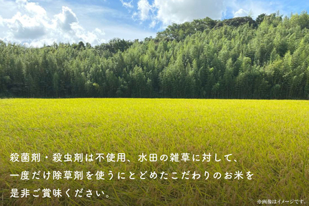 【先行予約】【2026年9月末より順次発送開始】【茨城県共通返礼品/潮来市】【12ヶ月定期便】栽培期間中出来るだけ農薬を減らしたかすみ米 5kg(玄米)　茨城県潮来市産(BI-91)