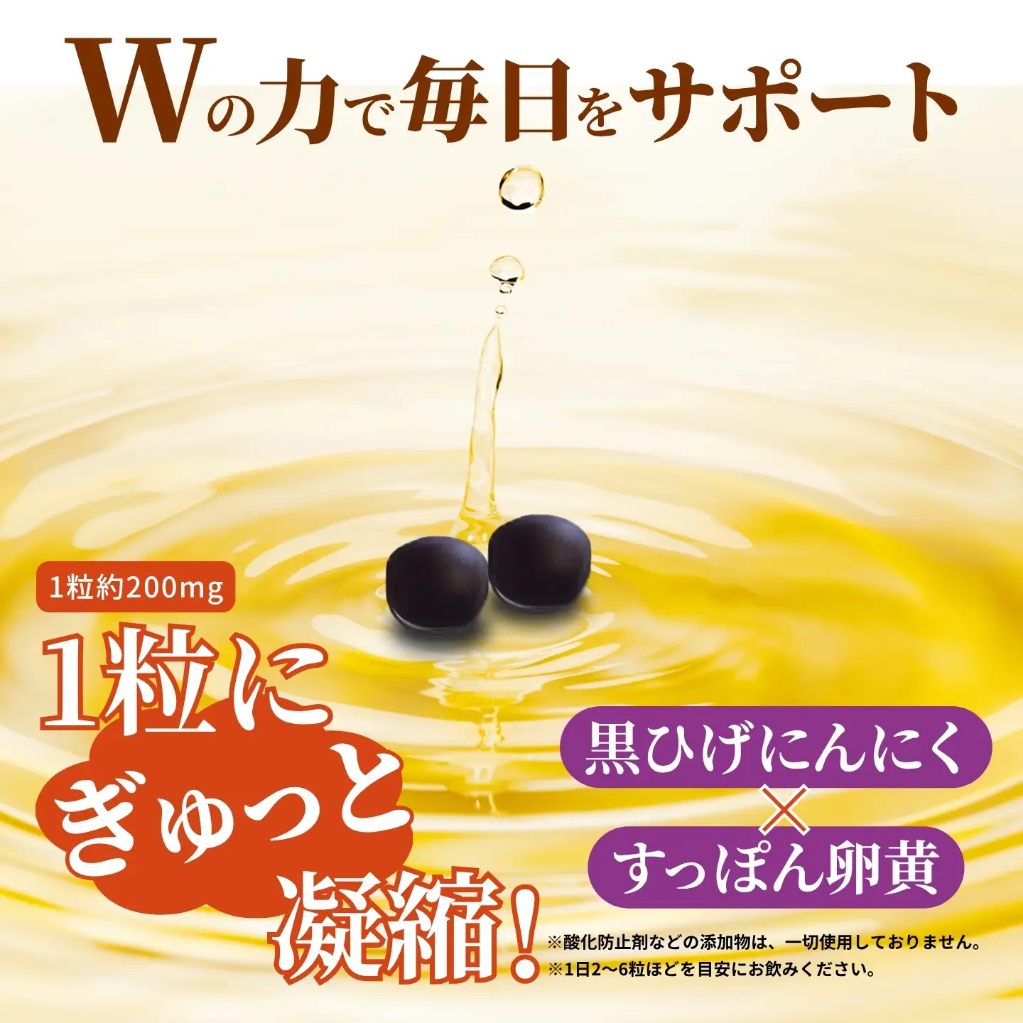 こつこつ真面目に作った すっぽん黒ひげにんにく玉 15袋セット：C104-006