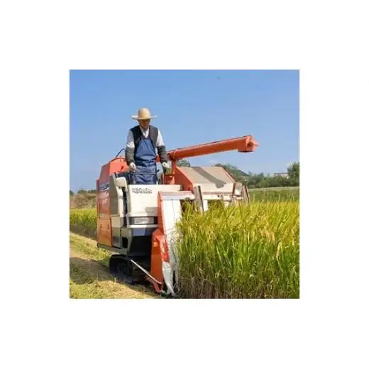 【定期便9回】千葉県産粒すけ5kg