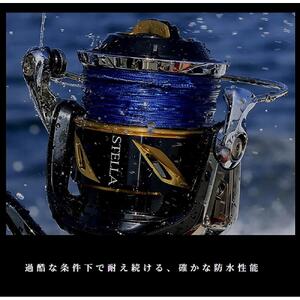 シマノ 釣具 ステラ SW 8000PG