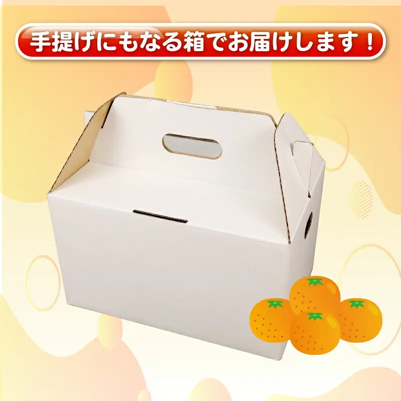 訳あり せとか 約4kg 杉本屋 せとか B010-143016