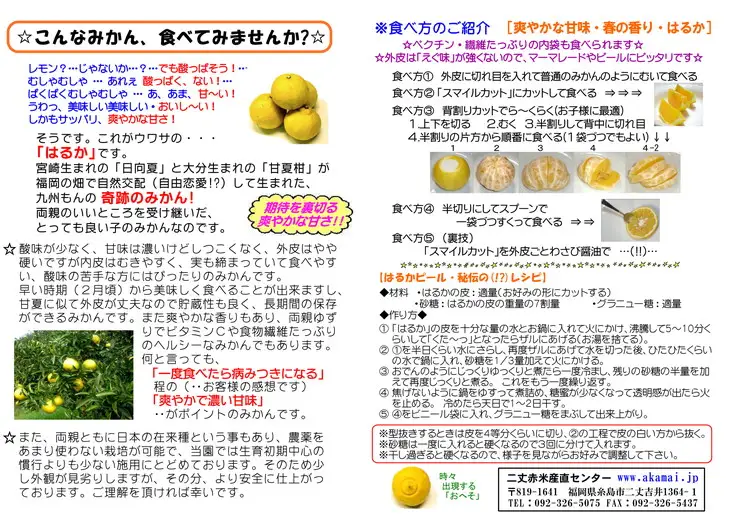 【先行受付中】爽やか に 甘い ！ 糸島産 「 はるか 」  お試し用 約 3kg 【2027年3月以降順次発送】二丈赤米産直センター [ABB003] 