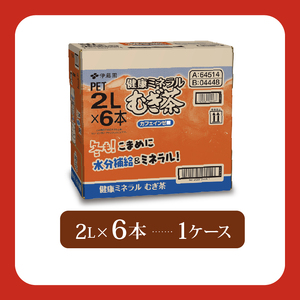 【定期便3か月】健康ミネラルむぎ茶PET2L×6本 伊藤園