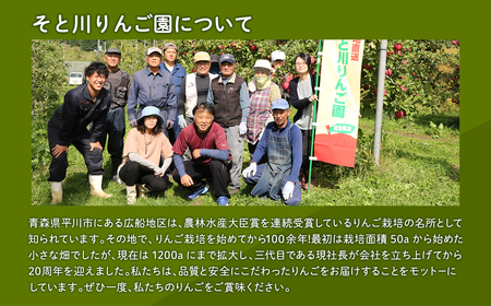 青森県産 無添加りんごジュース1L×3本[hi-0053-001]