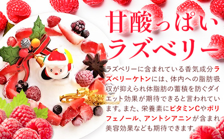 【先行予約12月18日以降のお届け】クリスマス ケーキ 低糖質 クリスマスケーキ 添加物不使用 人工甘味料不使用 5号 サイズ (約15cm) 