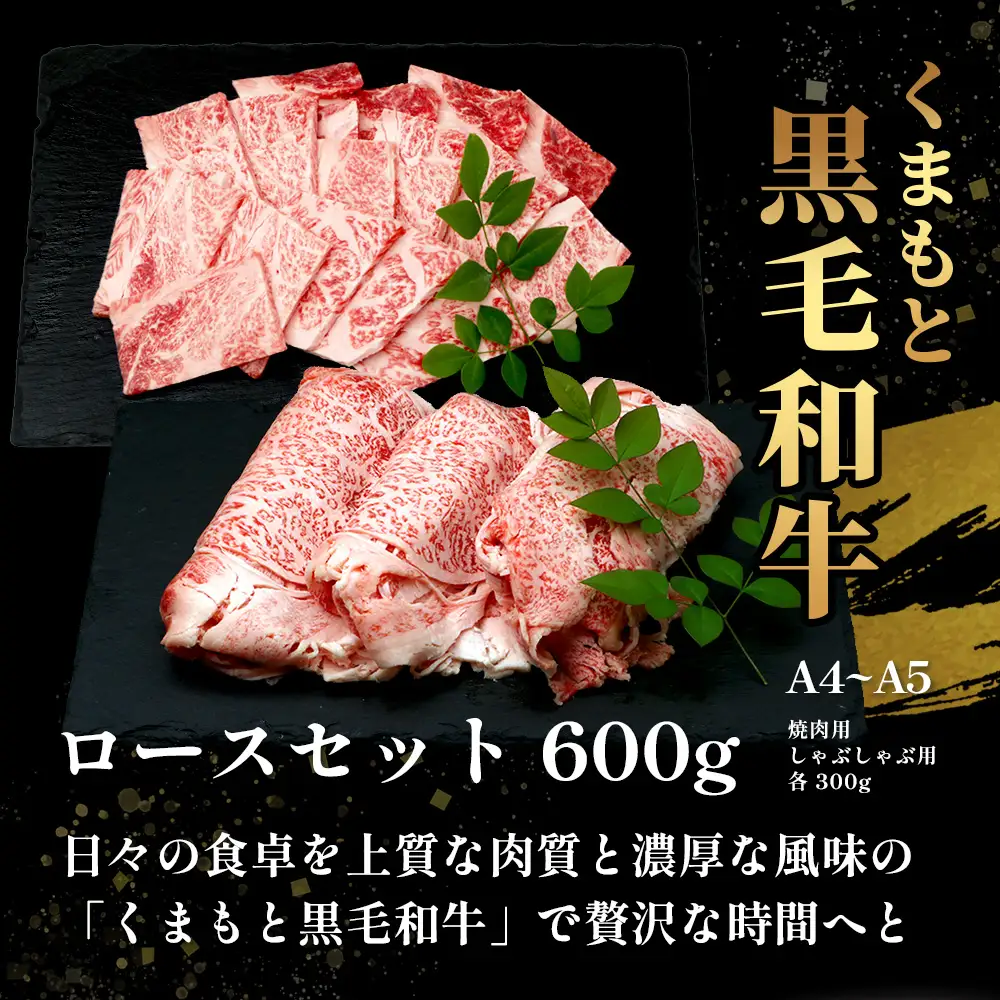A4・A5 くまもと黒毛和牛 ロース セット 計600g ( すき焼き 300g / 焼肉 300g ) 本場 熊本県 ブランド 牛 黒毛 和牛 厳選 肉 上質 113-0506
