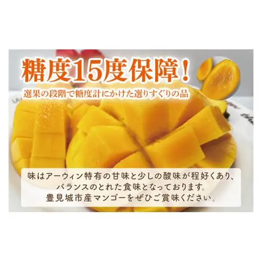 【先行受付】【2027年発送】豊見城産プレミアムマンゴー約900g（化粧）糖度15度保障 AE026