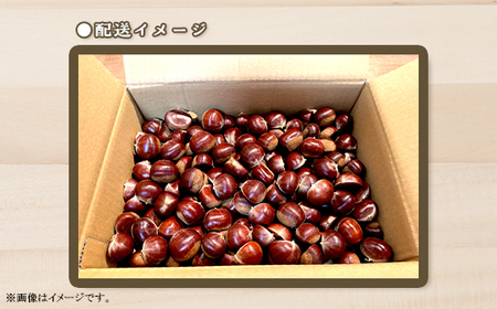 538 倉方甘栗 1.5kg 栗 甘栗 希少品種 数量限定 くり 茨城県産