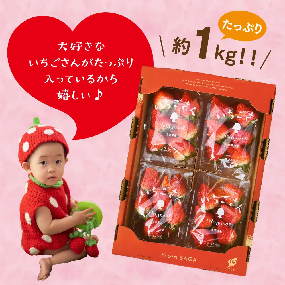 【先行受付 令和9年1月下旬より発送】特選いちご(いちごさん) 250g×4パック(H101107)