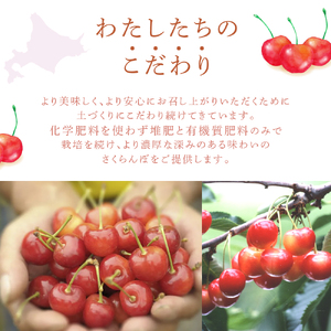 【 先行受付 】さくらんぼ 南陽1kg（500g×2パック）高級 サクランボ