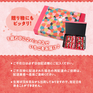 佐賀県玄海町産いちご「いちごさんDX」【D025】