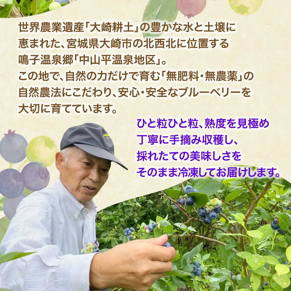 【ふるなびWEEK対象】ブルーベリー 2kg [ku001-2kg] フルーツ ベリー