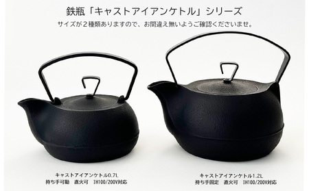南部鉄器 キャストアイアンケトル 0.7L さび茶 南部鉄器 IH対応 treis019