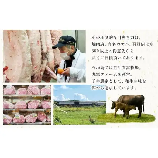 石垣島 島牛ハンバーグ 100g×10個   YC-7