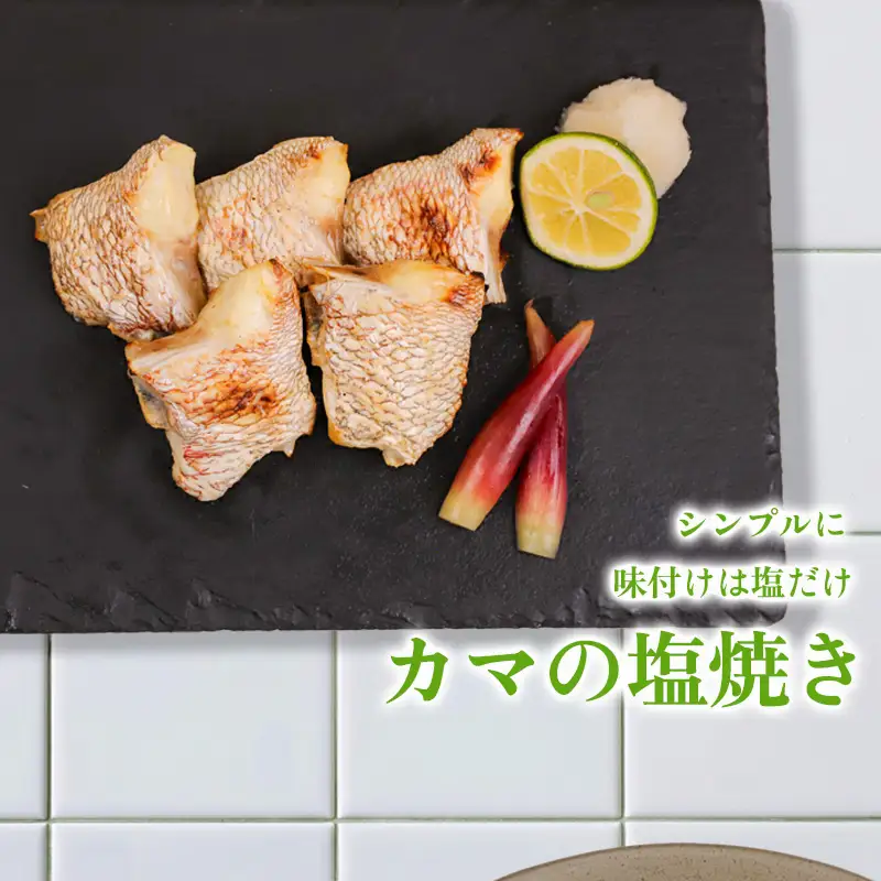 【 スピード配送 】 ブランド 真鯛 希少部位 カマ 頭 フィーレ 3点セット  高知県 須崎市 KS016-3x