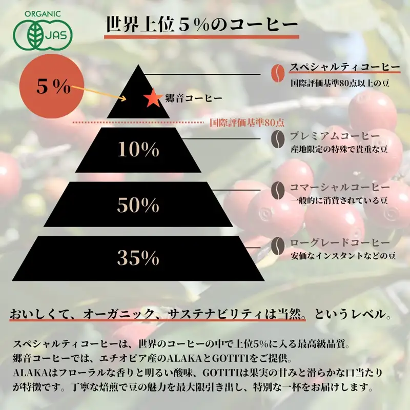 スペシャルティコーヒー焙煎豆 浅煎り 300g 定期便 全12回 12か月【毎月配送コース】