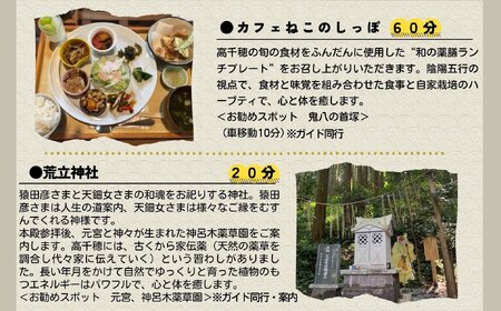 聖なる地、高千穂で心と体の癒し体験！＆おススメの開運スポット巡り4時間コース 1名様  旅 旅行 家族旅行 夫婦旅行 新婚旅行 銀婚旅行 トラベル 自然 癒し 景色 体験 体感 開運 スポット スポット巡り ガイド付き 足つぼ スケジュールあり プランあり 宮崎県 高千穂町 _Tk047-001